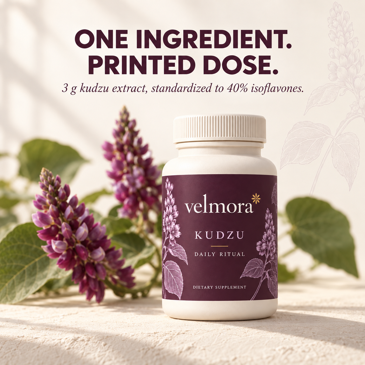 Velmora Kudzu Daily Ritual bottle. One ingredient, printed dose. 3 g kudzu extract standardized to 40% isoflavones.